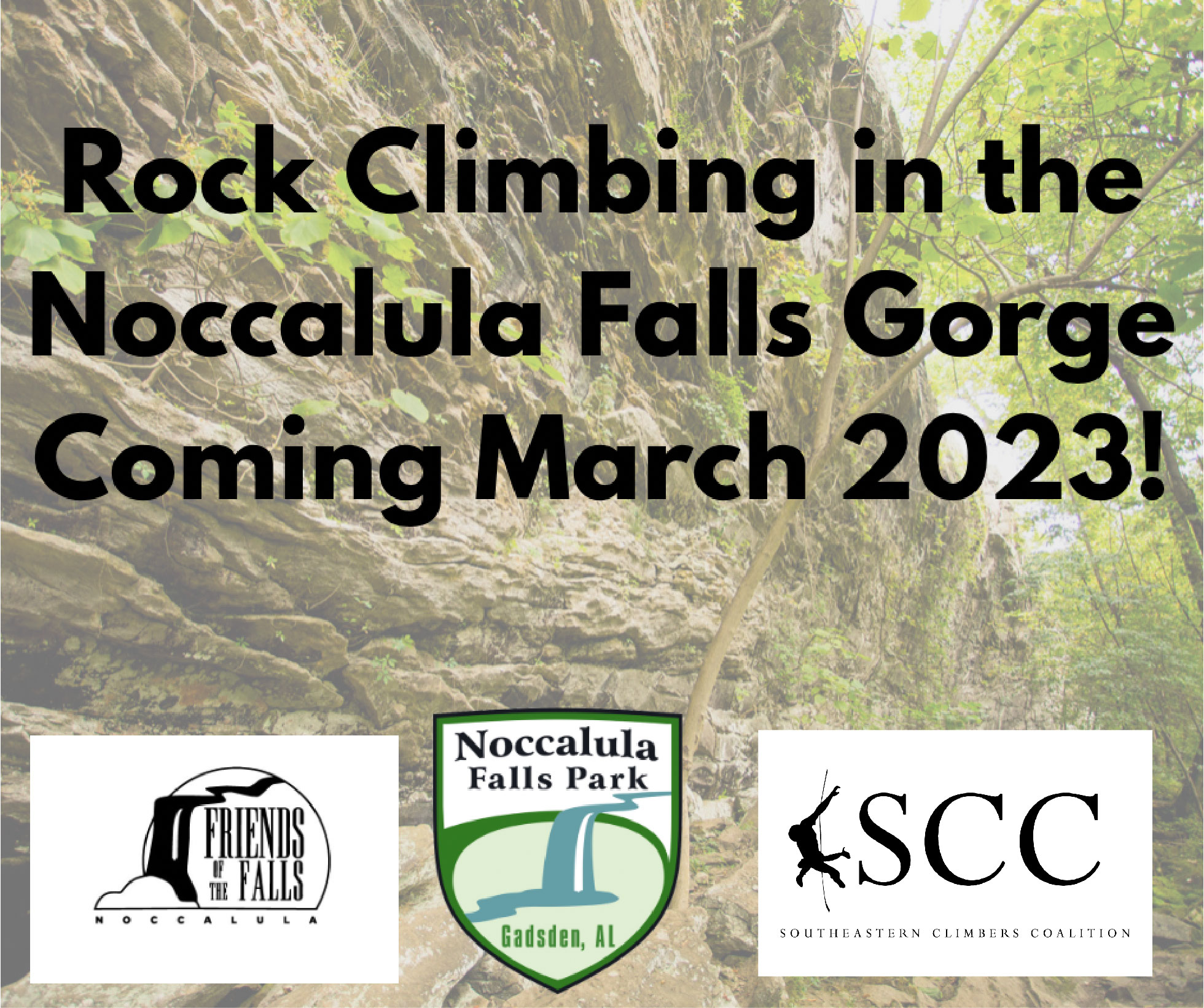 image0 noccalula logos